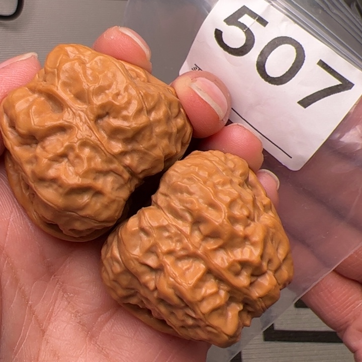 核桃41边42肚507号肉蛙