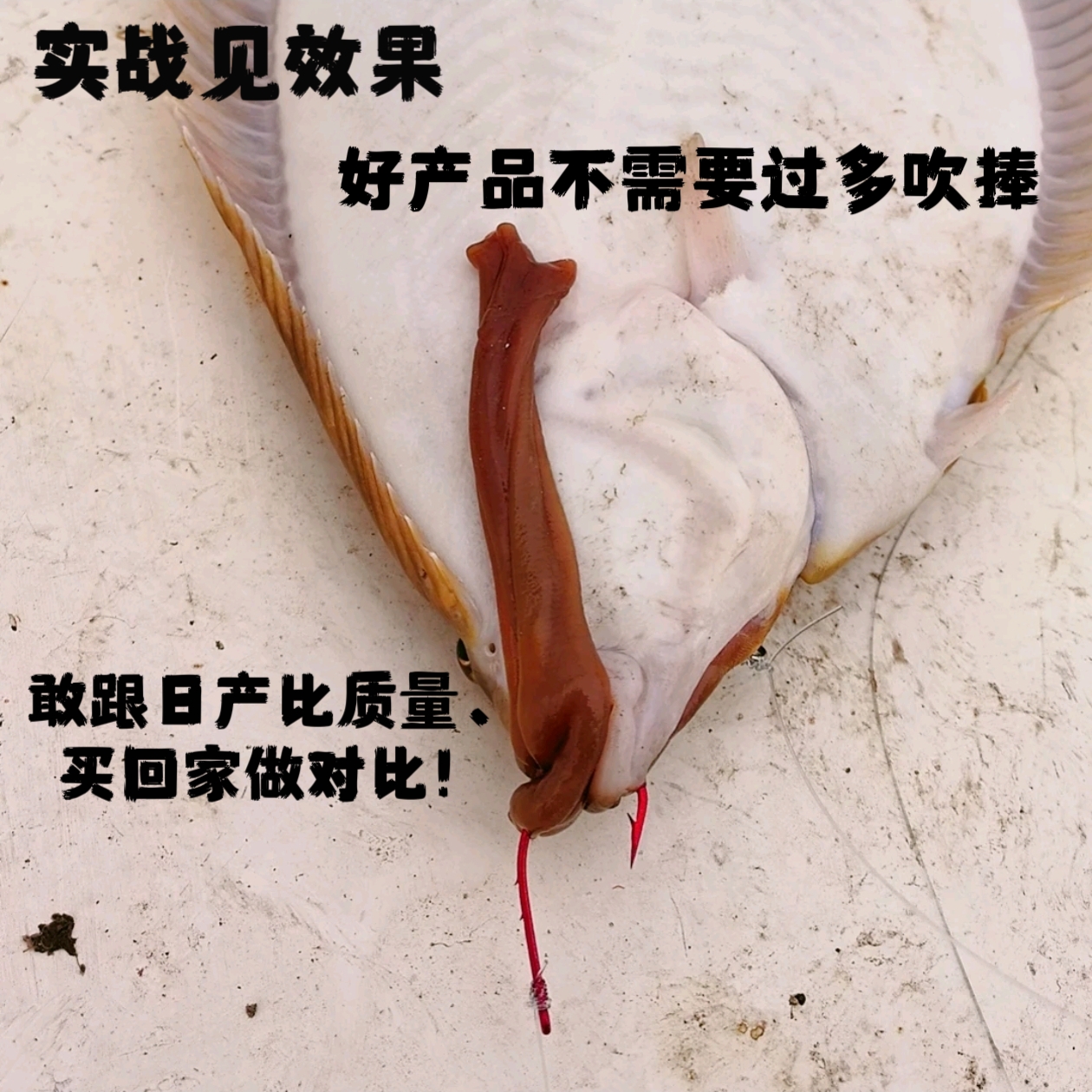 背刺丸世小红钩  双背刺 歪嘴 耐磨 锋利   近海船钓底层鱼通用