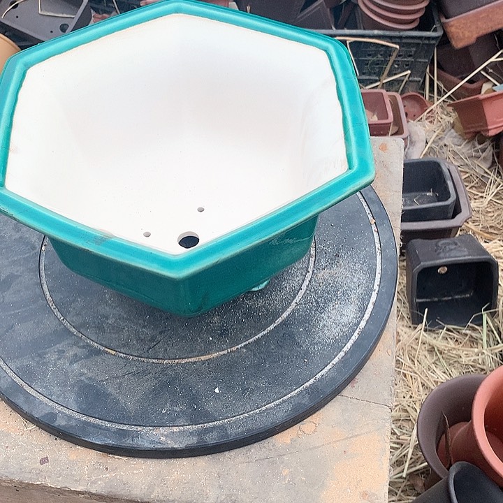 紫砂没有任何理由都可以去