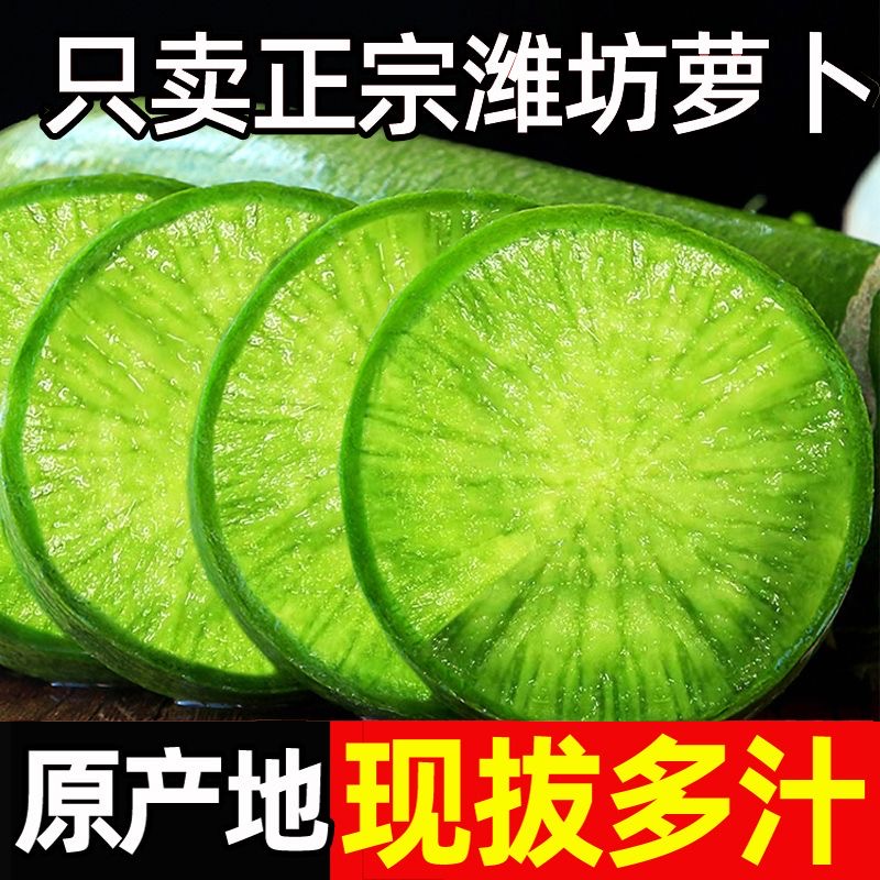 新鲜头茬特价潍坊正宗水果萝卜现拔现发产地直发脆爽可口产地直发