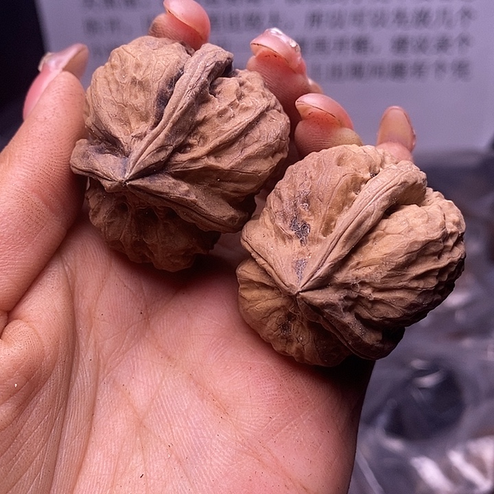 核桃云南野生铁核桃143号40mm