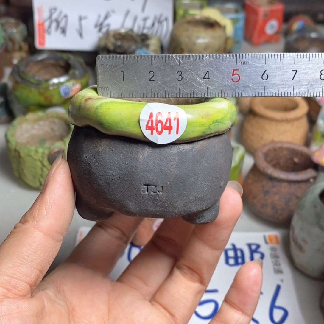 拍5送一个小礼物