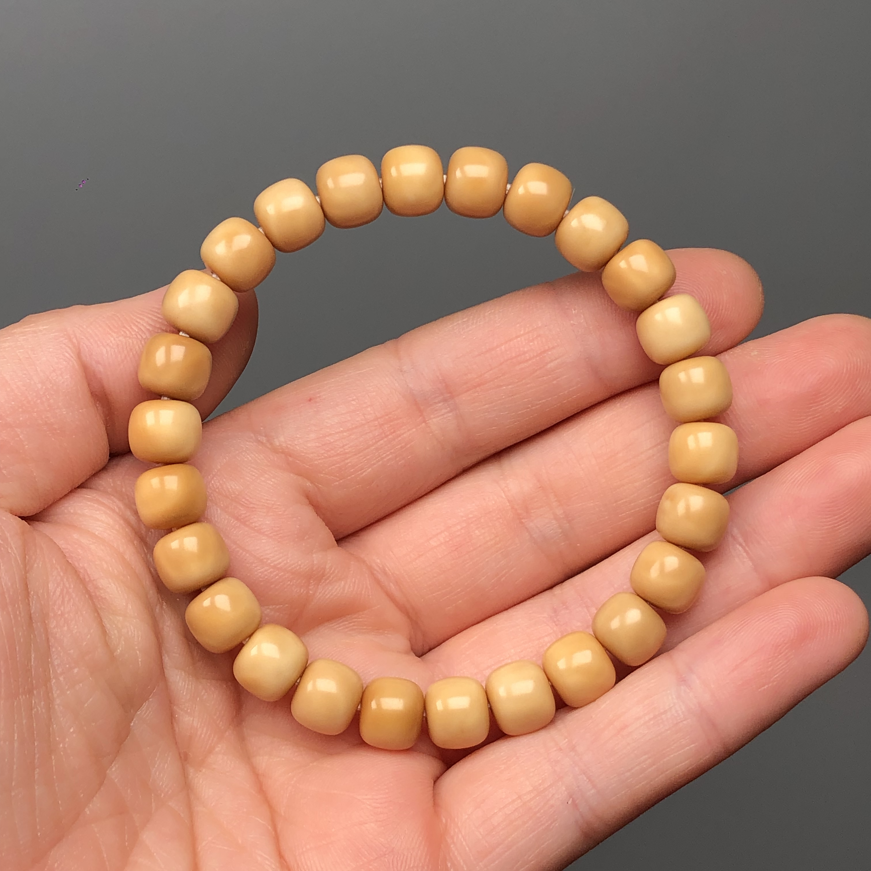 9×8老型 单圈原生态龙脊菩提 无月有钥匙孔