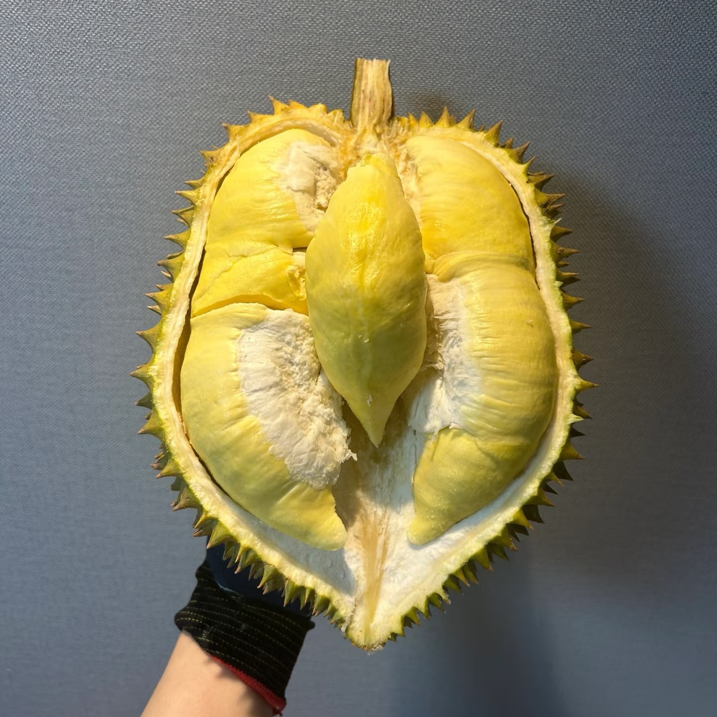 【1.5斤纯果肉金枕鲜榴莲】现开现剥，好吃得板核小/g榴莲同城配金枕泰国