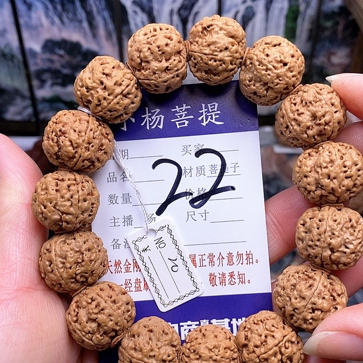 手串金刚菩提20双龙