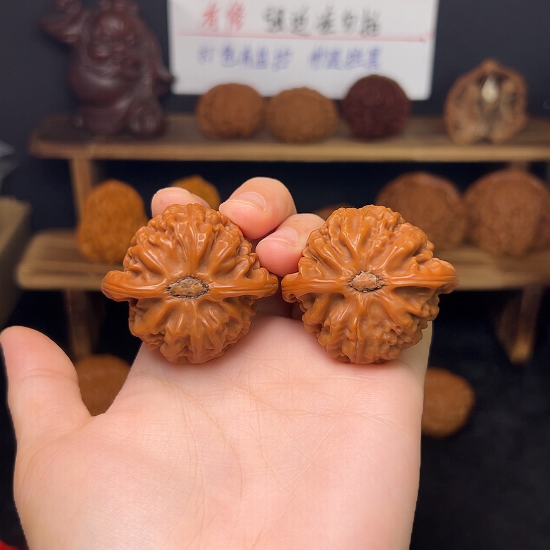 *****大叶紫檀（黑酸枝木类）宫灯福利