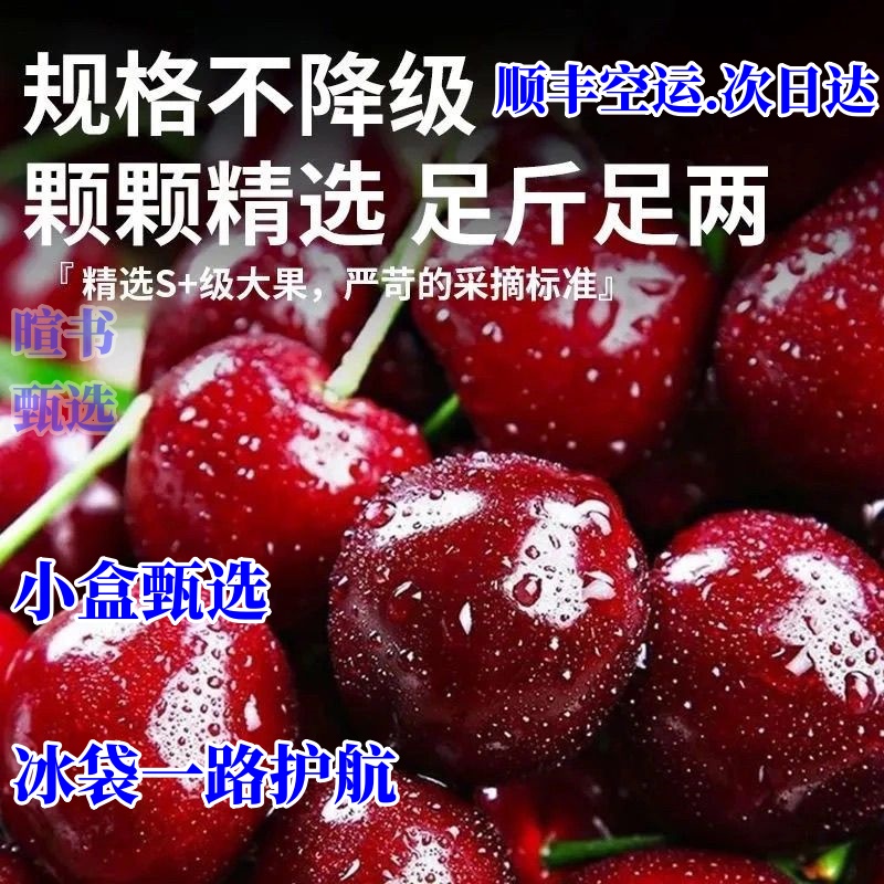 【川渝顺丰次日达零售】四川车厘子L樱桃高原种植非山东大樱桃1-3斤包邮汉源车厘子黑珍珠樱桃
