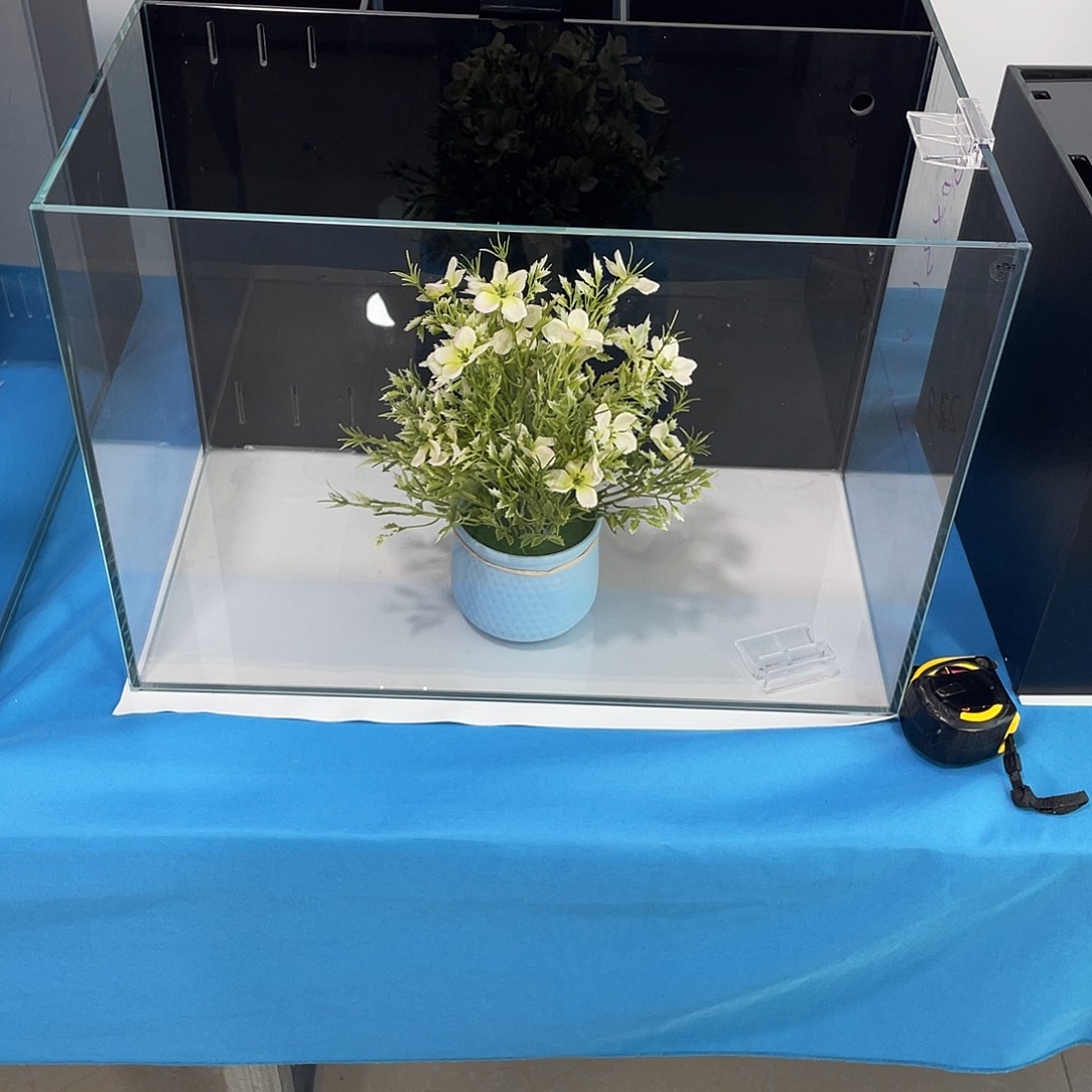 玻璃热**活503535背经典版带全套