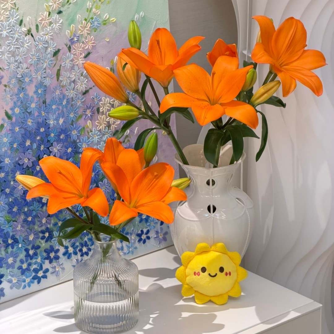 (橙色梦想）亚洲百合无香型百合鲜花东北鲜花产地