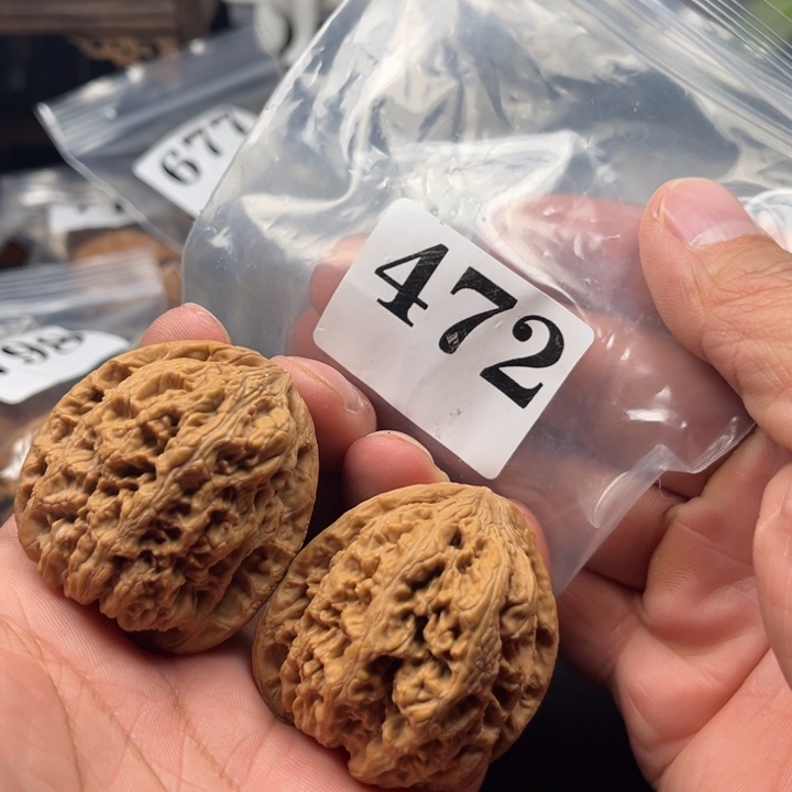 核桃42全品华北将军膀