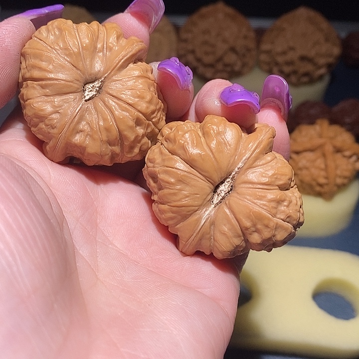 大叶紫檀（黑酸枝木类）