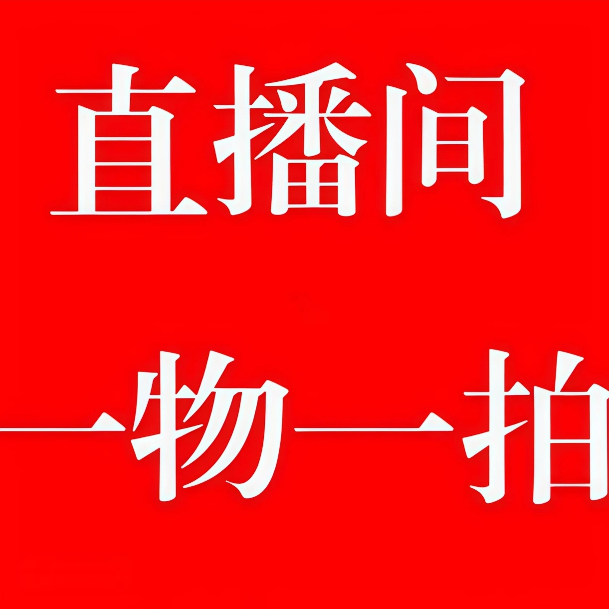 北美冬青植物基地直发壮苗精品大货室内绿植