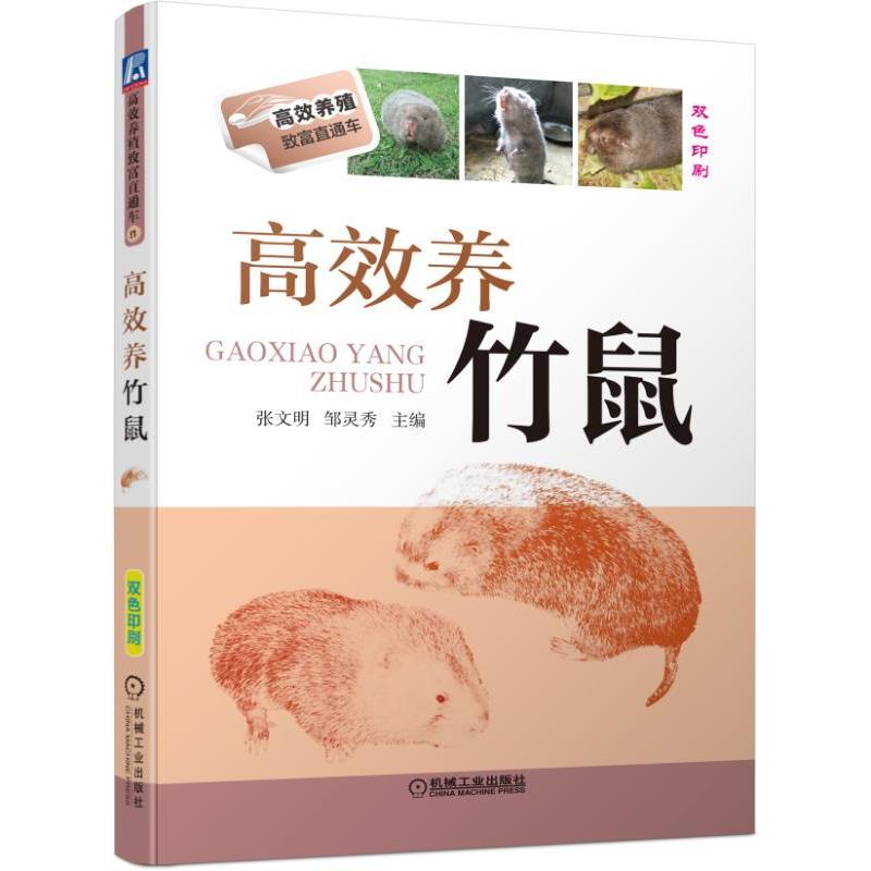 高效养竹鼠  正版图书