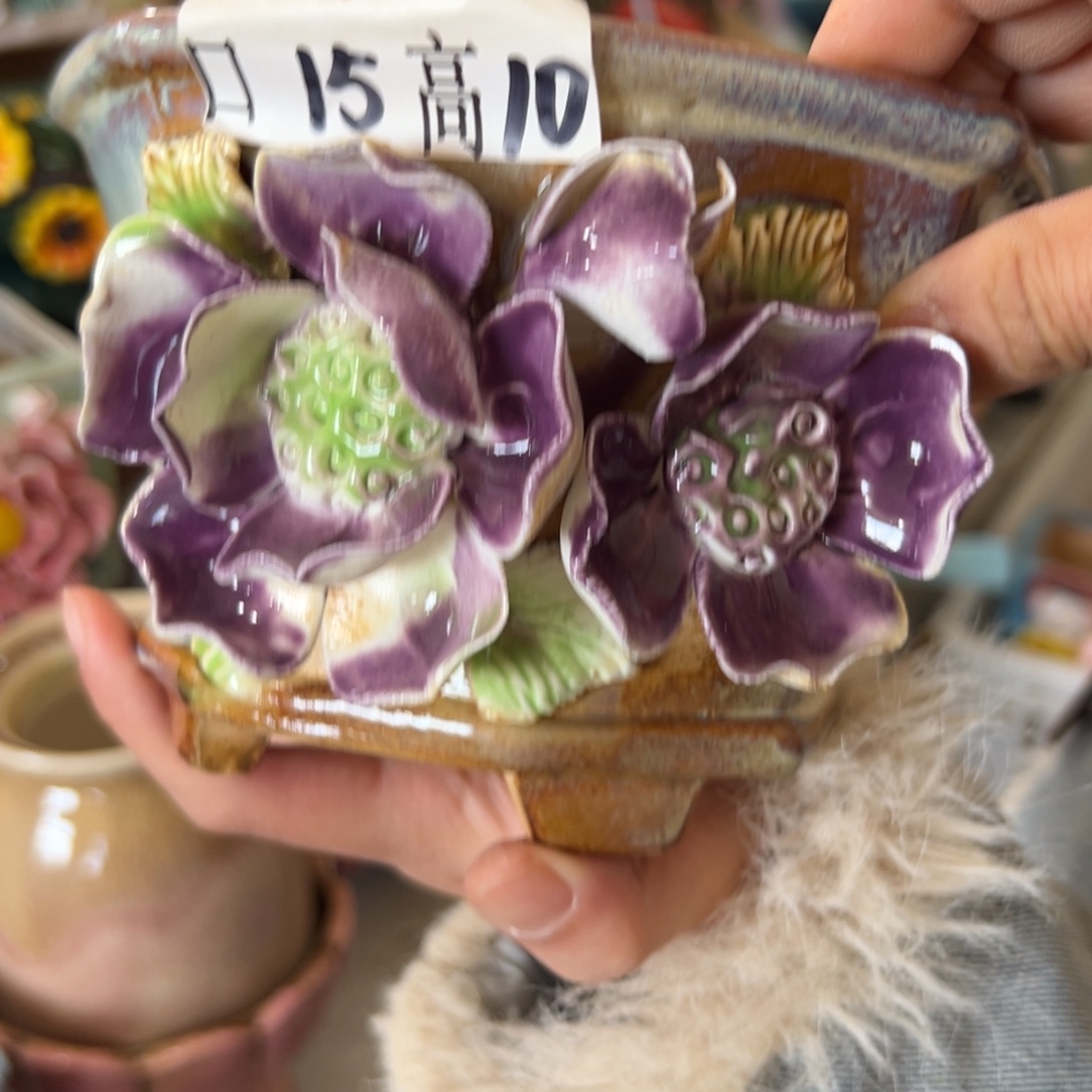花盆，满20米发货爱退款拉黑