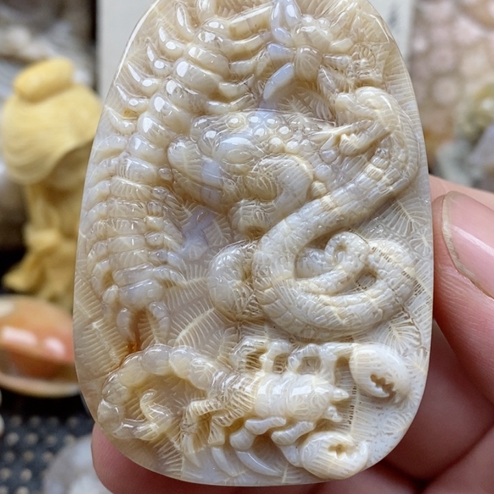 颈饰未镶嵌硅化珊瑚（珊瑚玉）