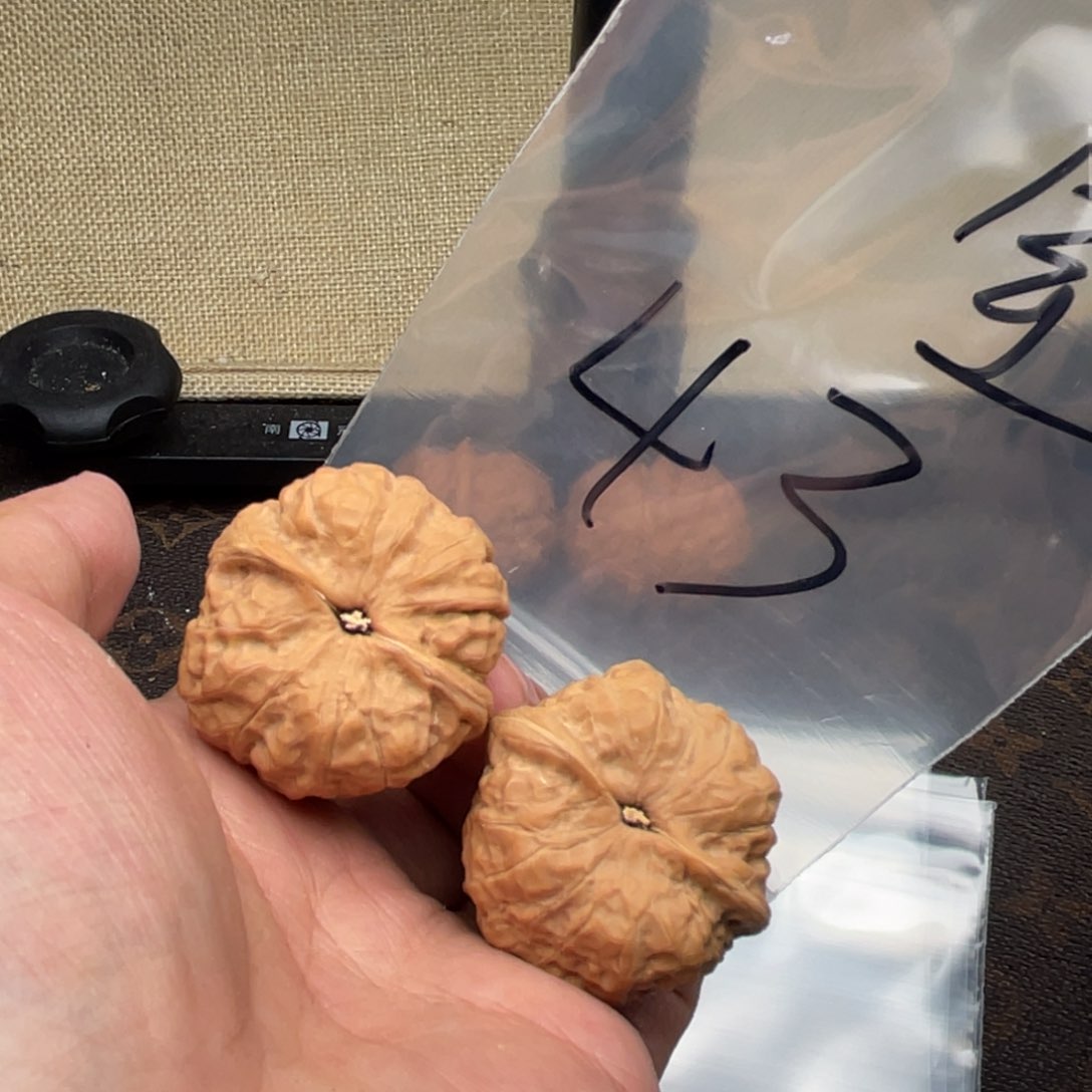 核桃把件37575375337575335