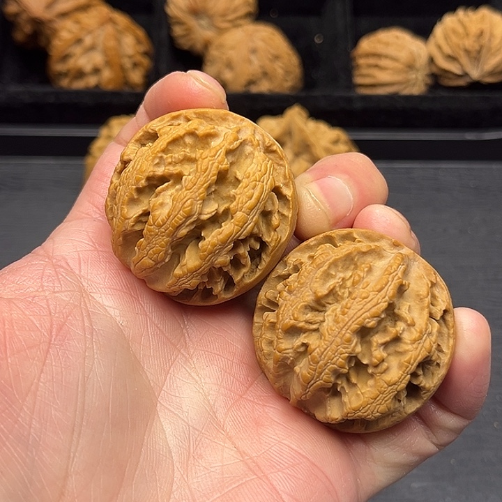 木质类秦岭突突突突突突