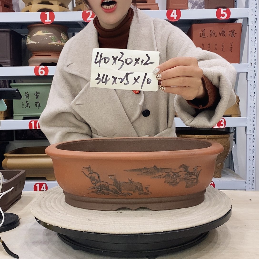 紫砂花盆紫砂花盆