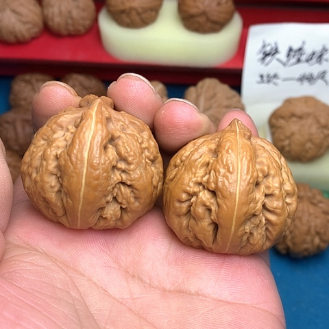 文玩核桃把件42尺粗愣霸王龙