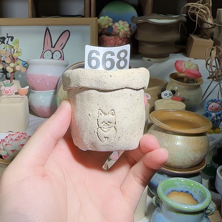 668 口4 发两只 福利特惠 
