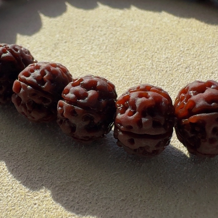 金刚菩提吊坠S*r老树王