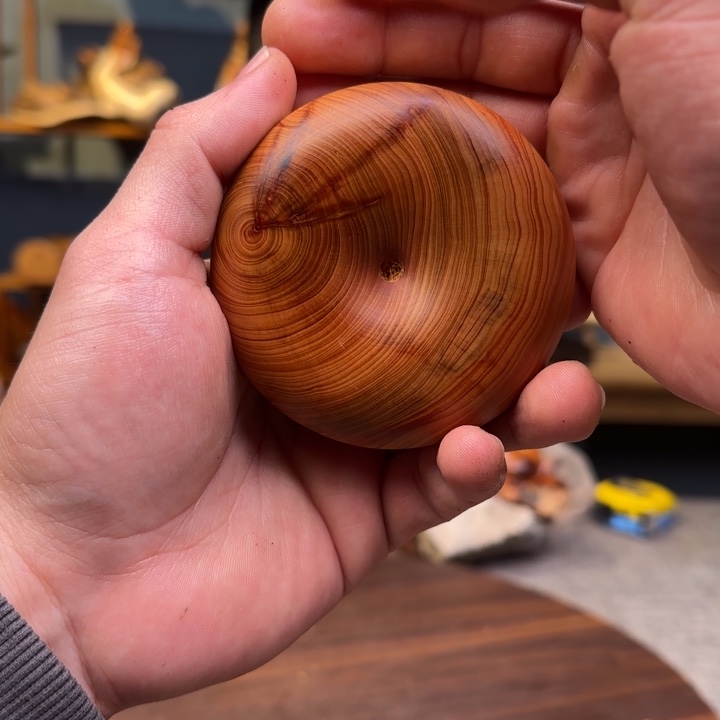 柏木（崖柏）关注一下