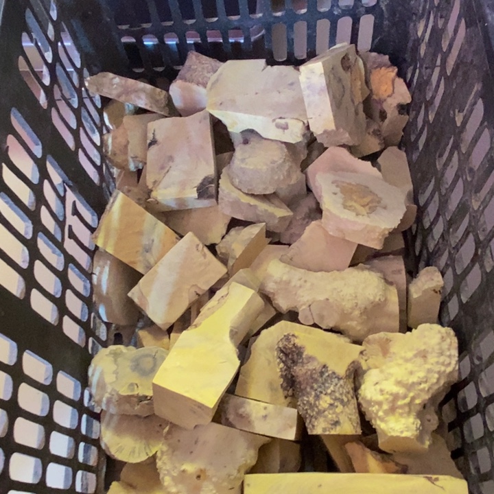 香榧木成**哥黄杨木手把件