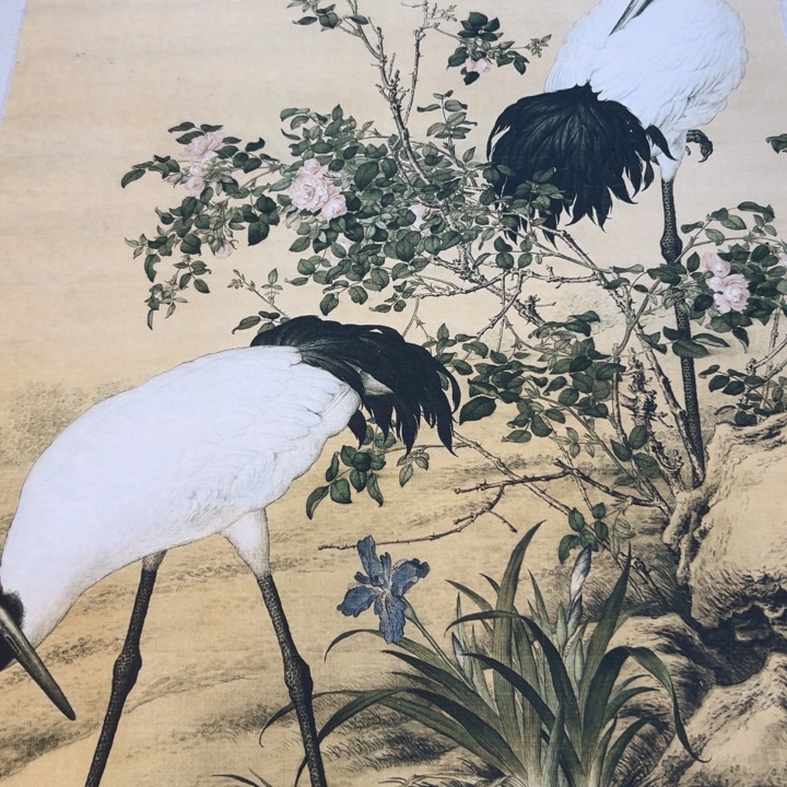 涩***年画大处理了老铁