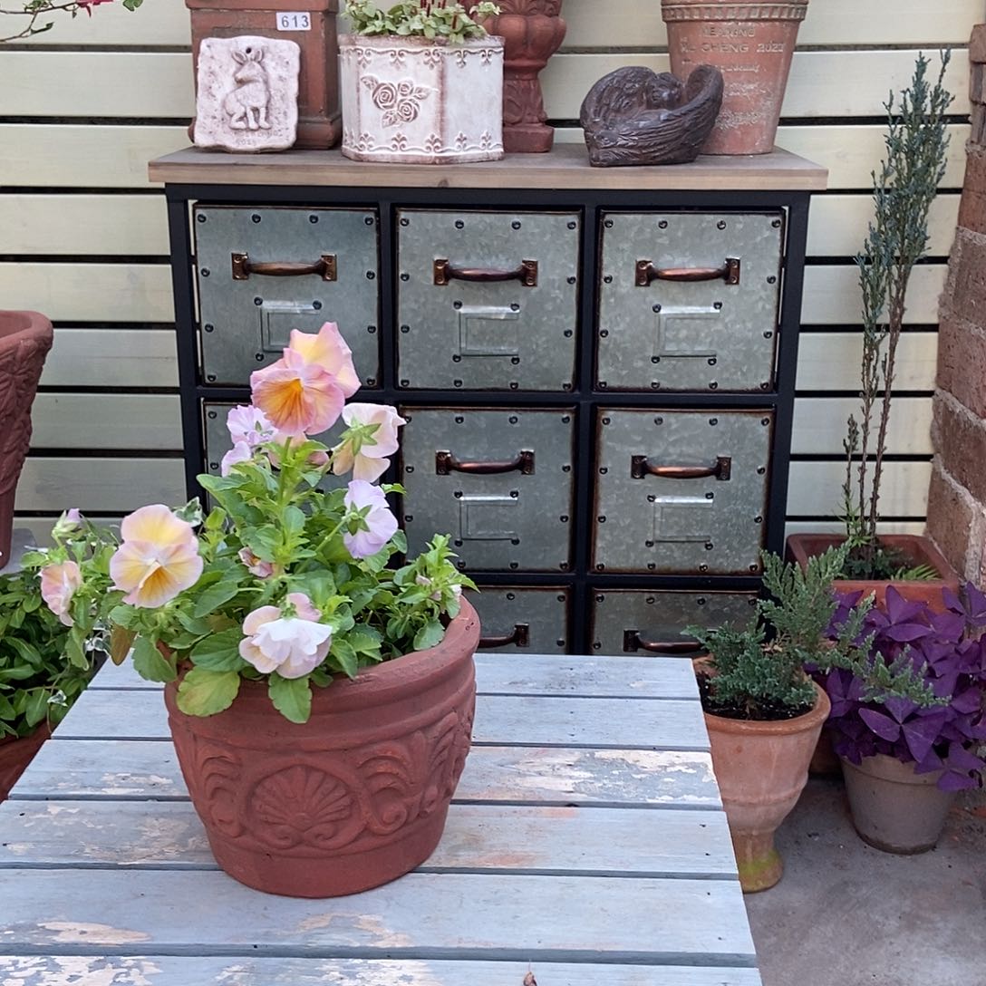 贝壳盆口15高10.5上新价