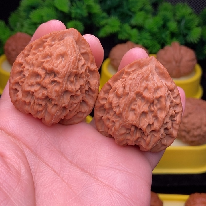 伊***内野生狮子头40全品11111112