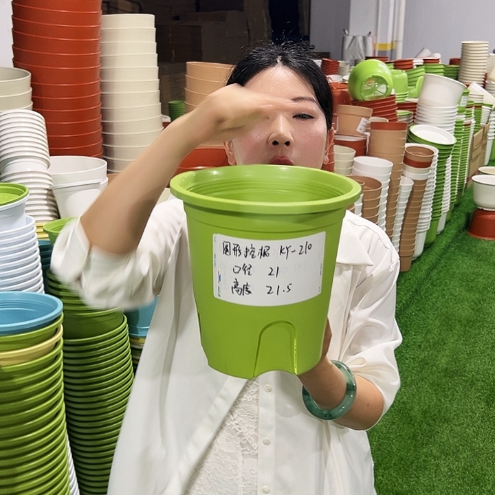 正品圆控口21高21果绿8只无托