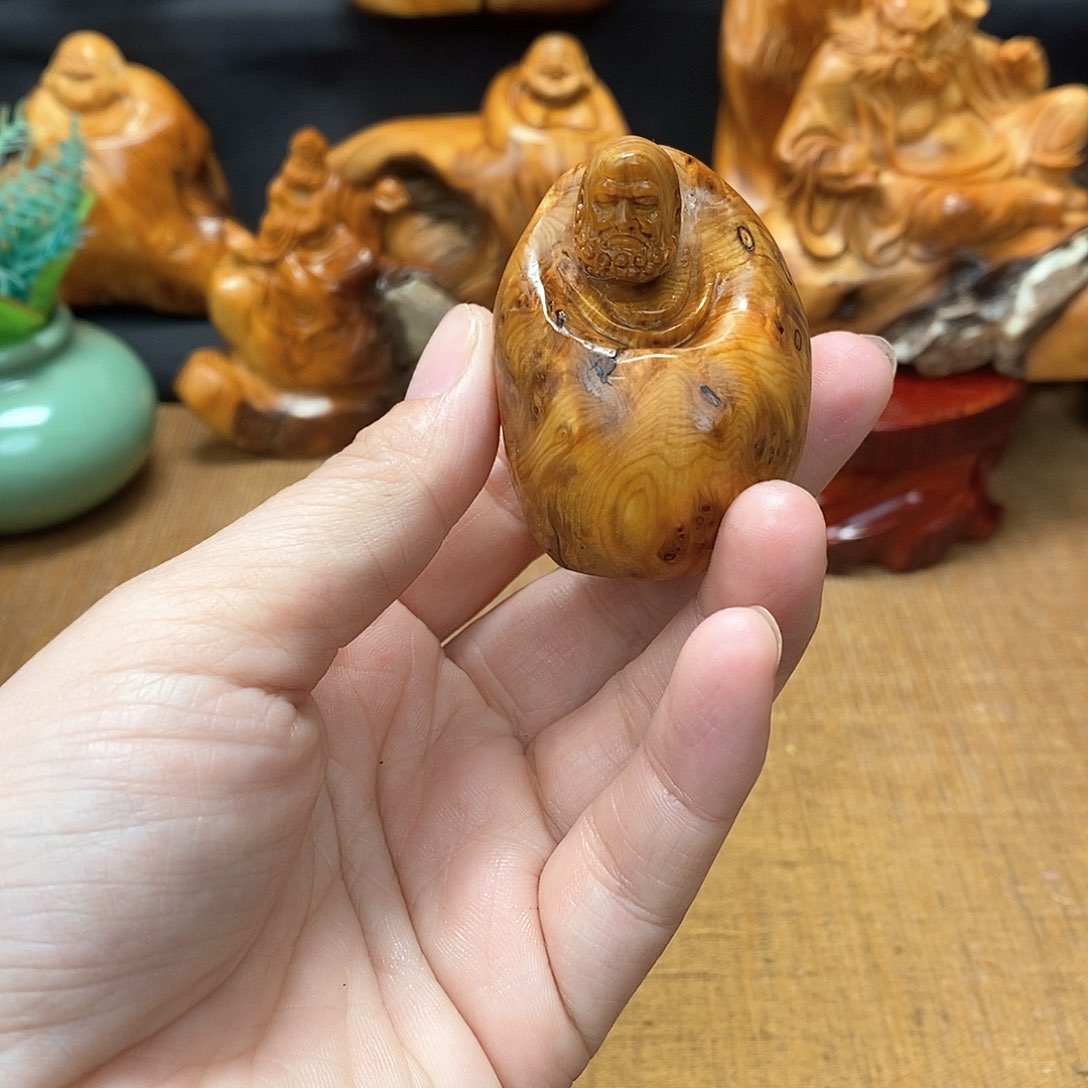 柏木（崖柏）一物一图