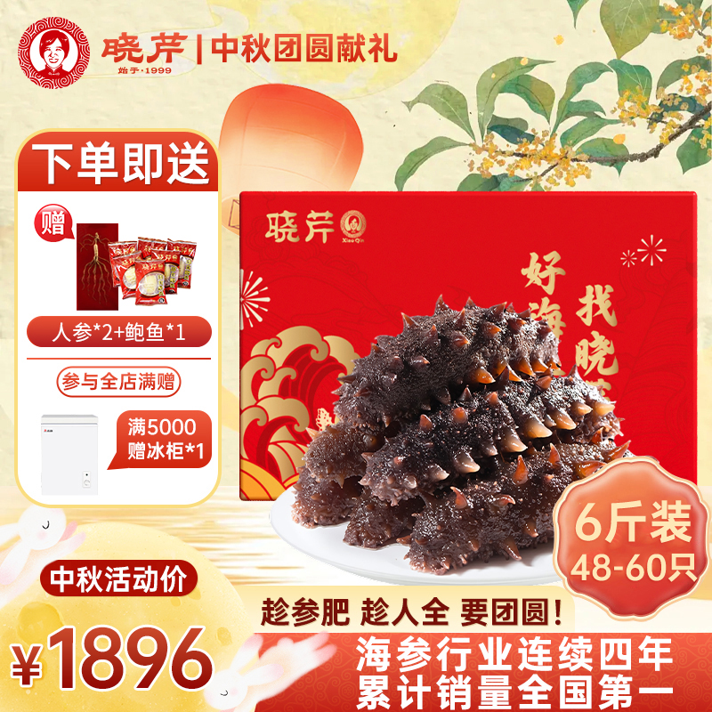 【中秋特惠】晓芹即食海参6斤48-60头正宗大连辽刺参孕妇老人滋补