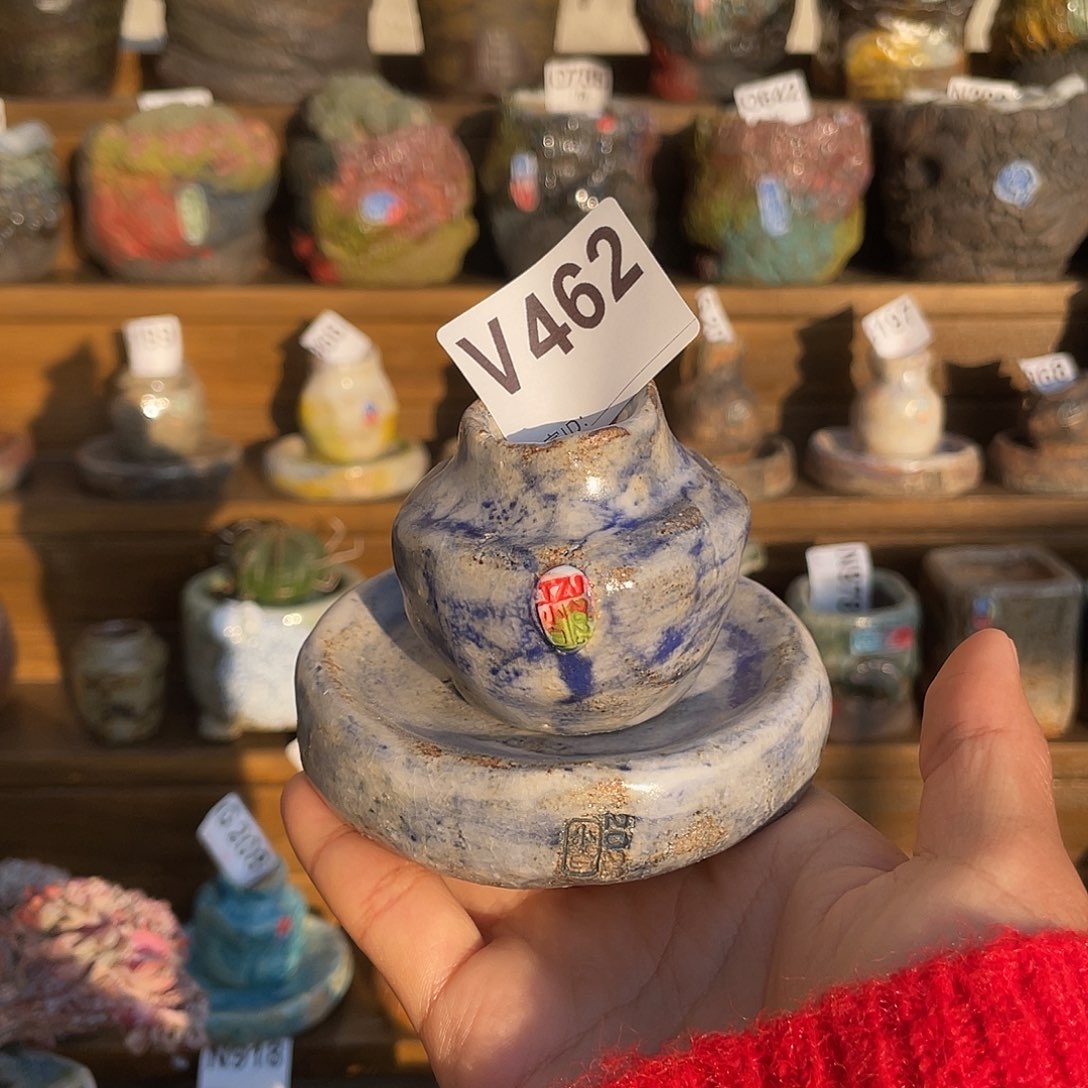 魔***七坛子姐花盆 小白孤品 匣钵土一套内口2.5