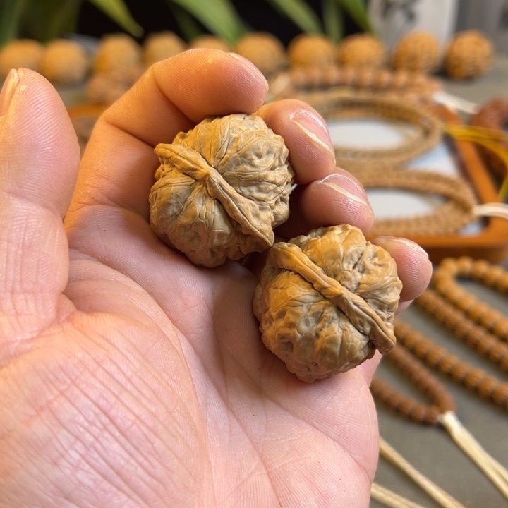 全品精对蛤蟆头尺寸37