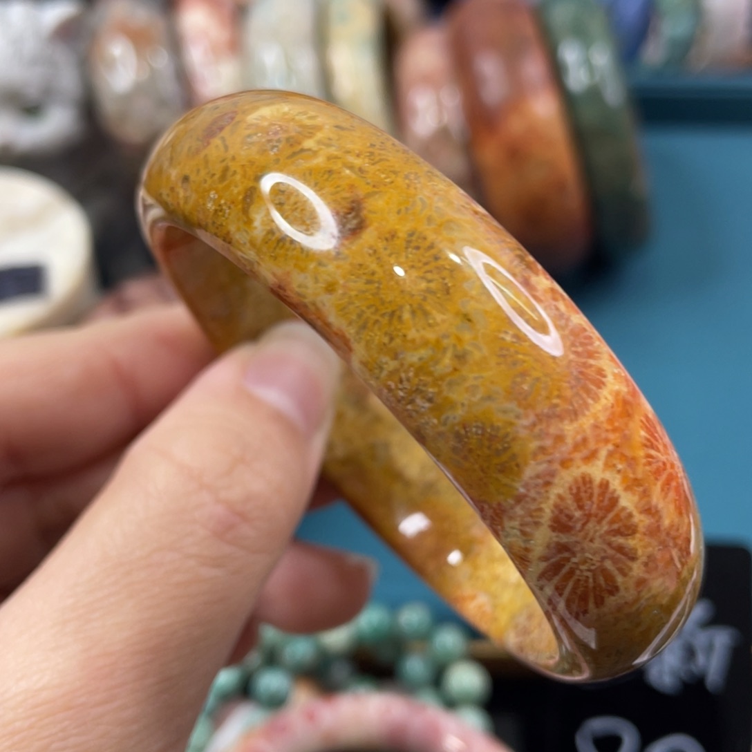 未镶嵌手镯硅化玉