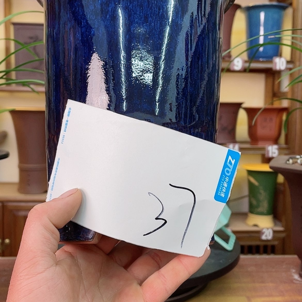 【闪购商品】紫砂花盆李*珍兰花755888998888888888