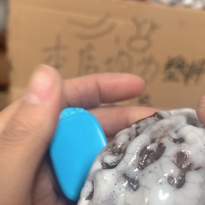 你的生活是我的人生态度和态度