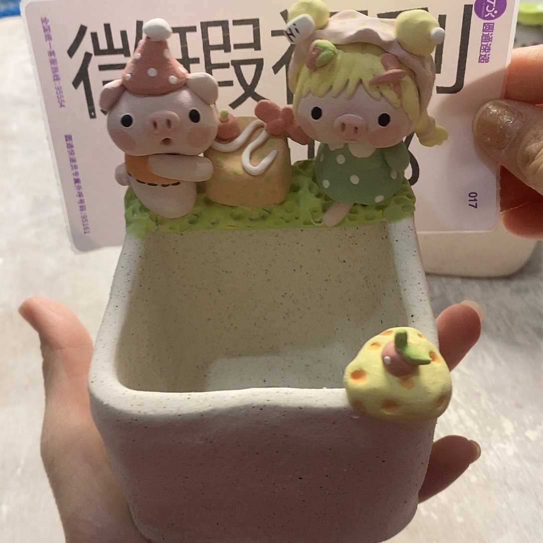 米诺多肉植物花盆096