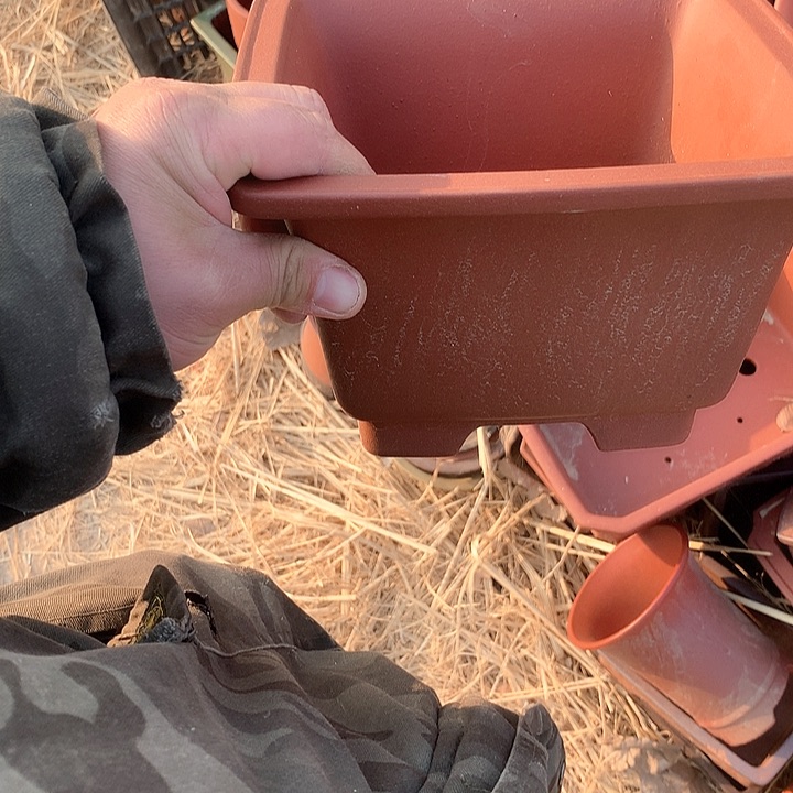 紫砂没有那么喜欢这个点