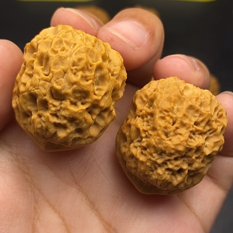 文玩核桃把件37尺铁狮子球