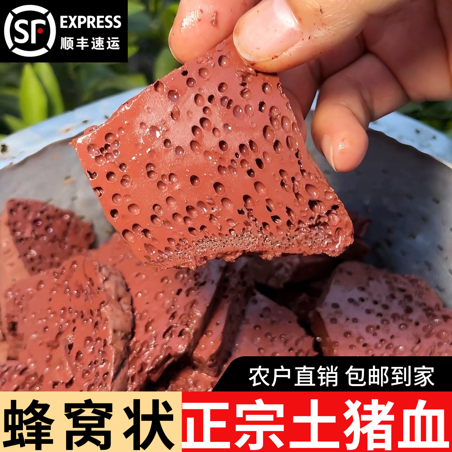 【顺丰包邮1】农家土猪新鲜猪血豆腐蜂窝状血块火锅食材毛血旺用料