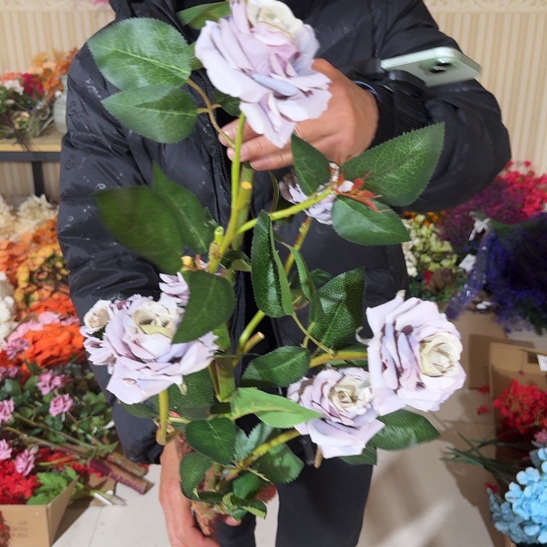 829号紫色玫瑰树2颗