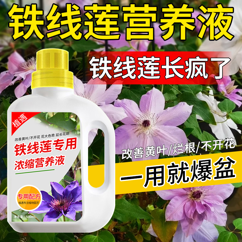 【铁线莲专用营养液】花卉防黄叶烂根掉花苞四季开花液体肥浓缩肥料