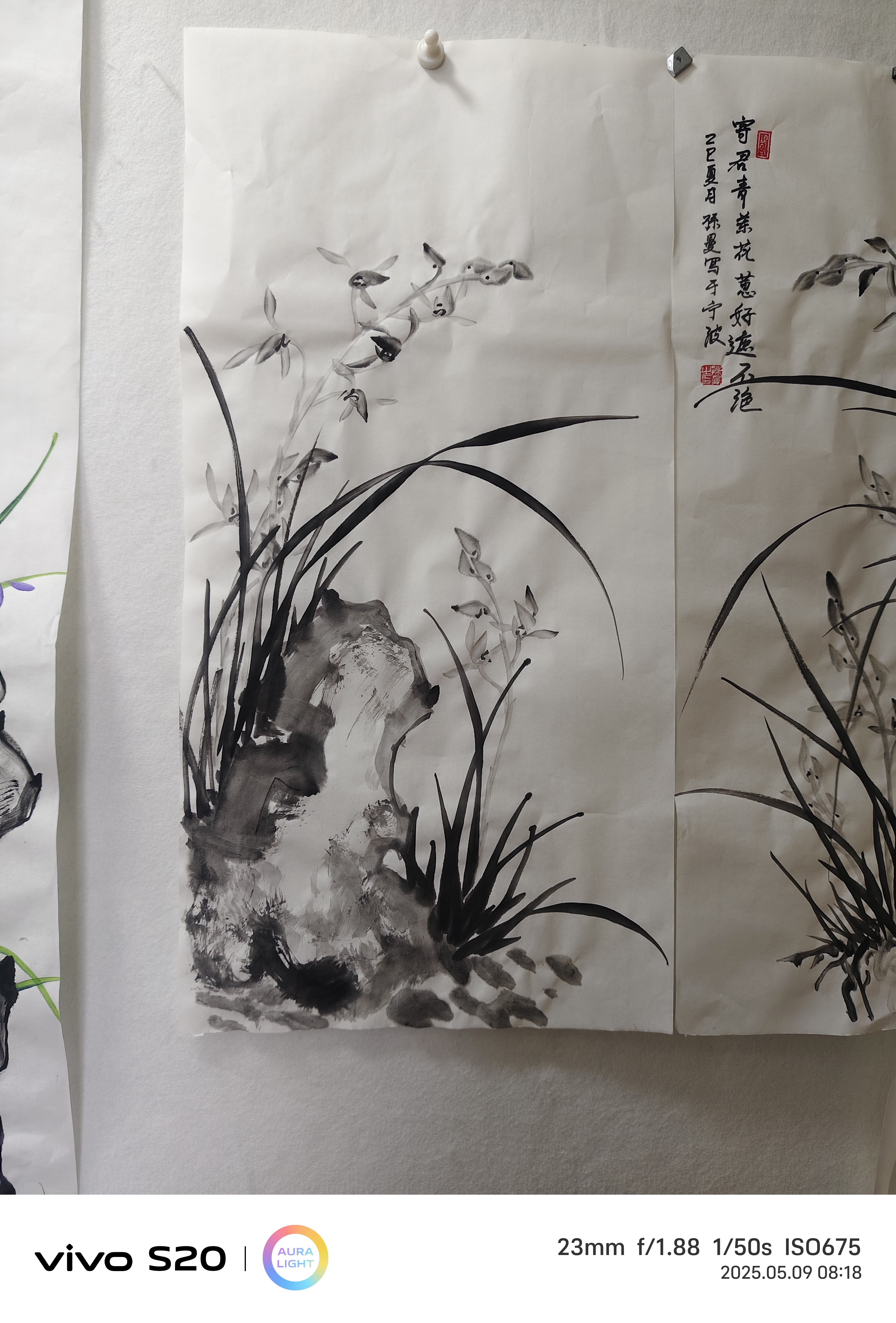墨兰学习手稿，拍一发二，以直播间截图为准
