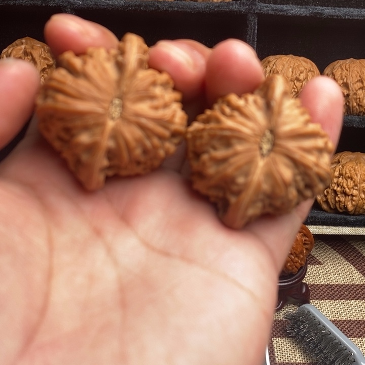 全品山地磨盘44尺寸