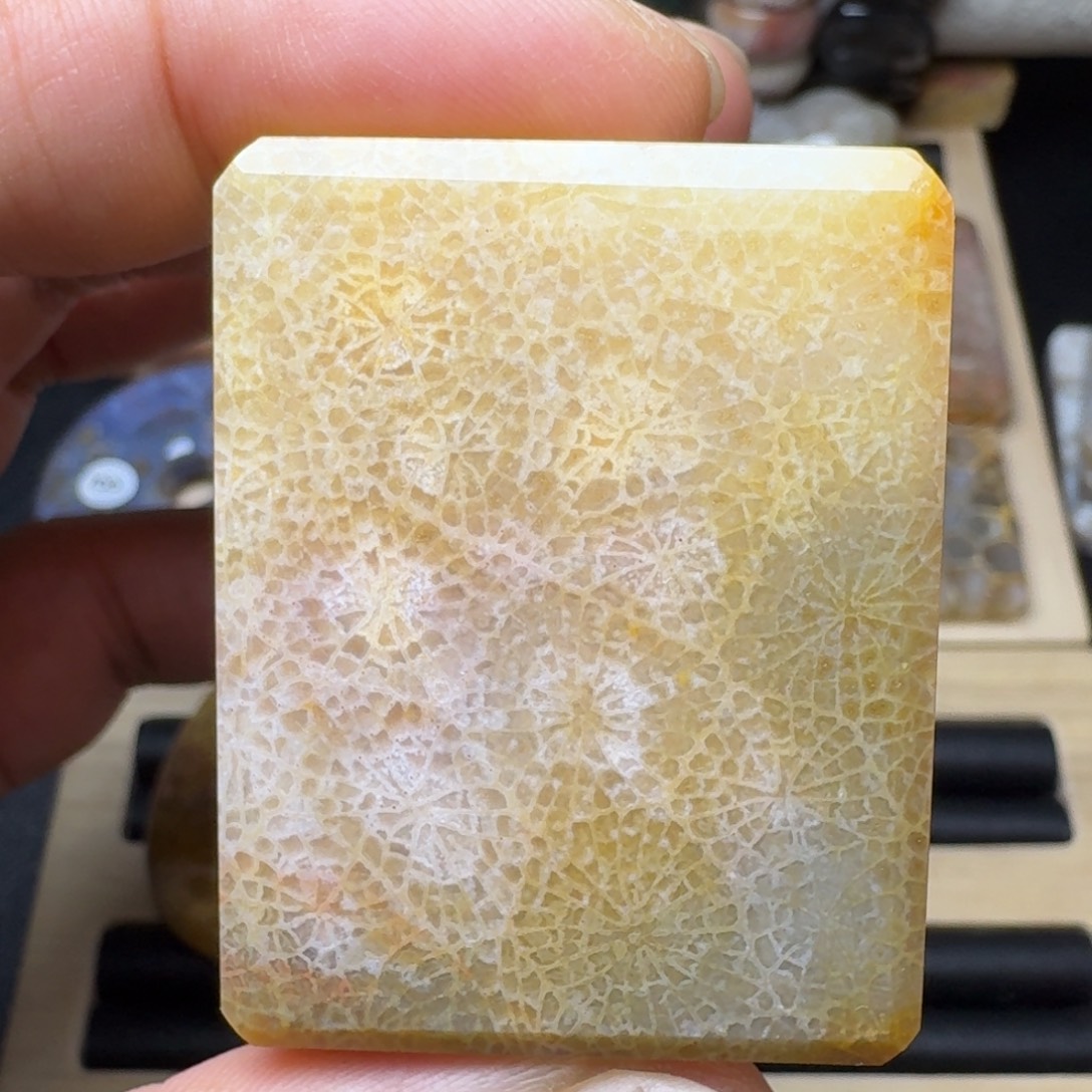 硅化玉未镶嵌纯天然色有机玉石保真色哇塞荷叶纹