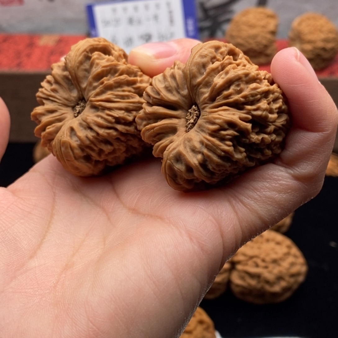 核桃天宝凹底福利