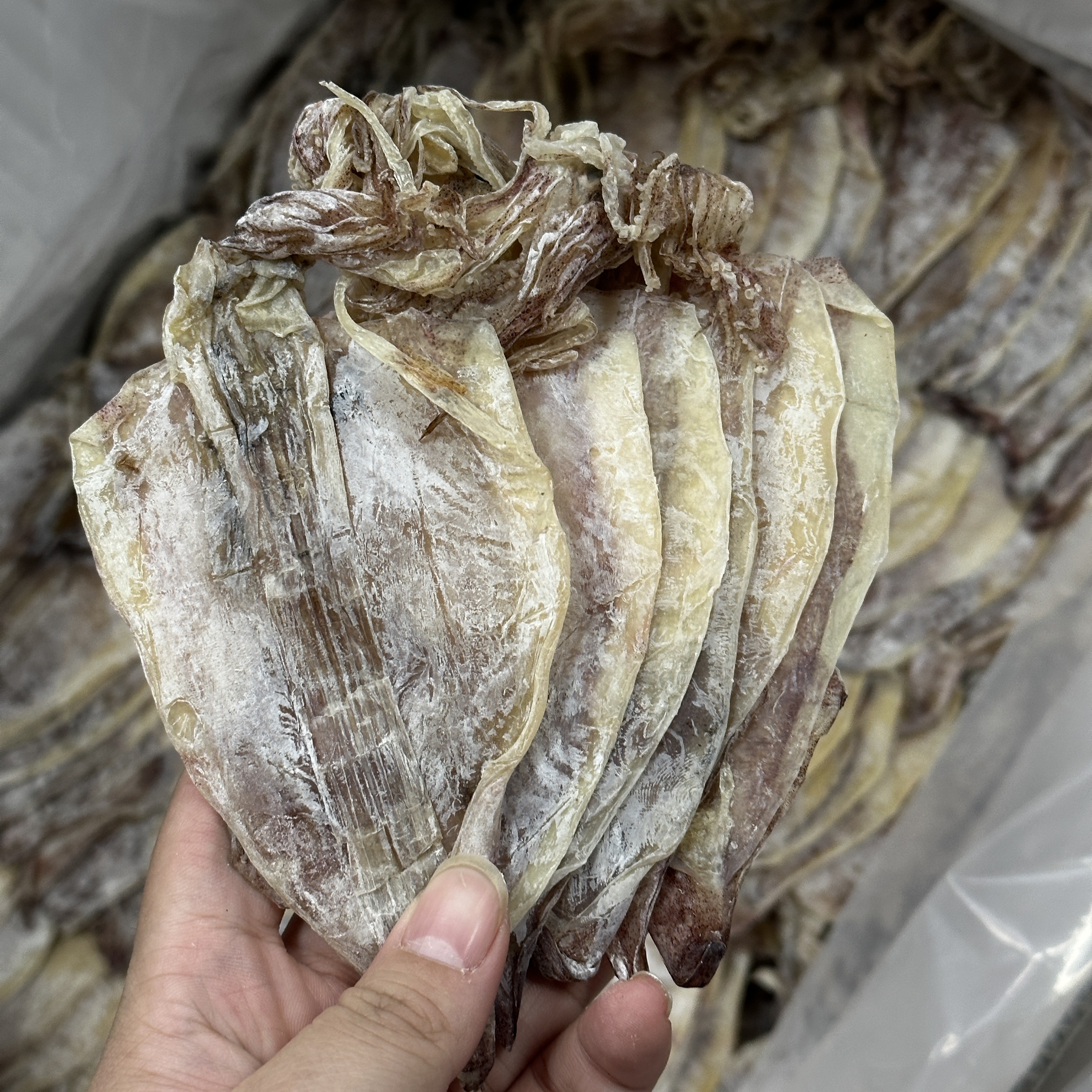 小鱿鱼干 粉鱿 500g