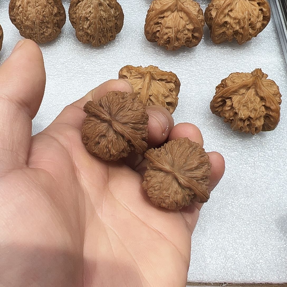 凉****文玩核桃把件33楼子